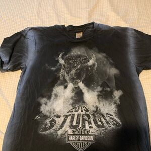 Harley-Davidson Black Graphic T-Shirt for Men